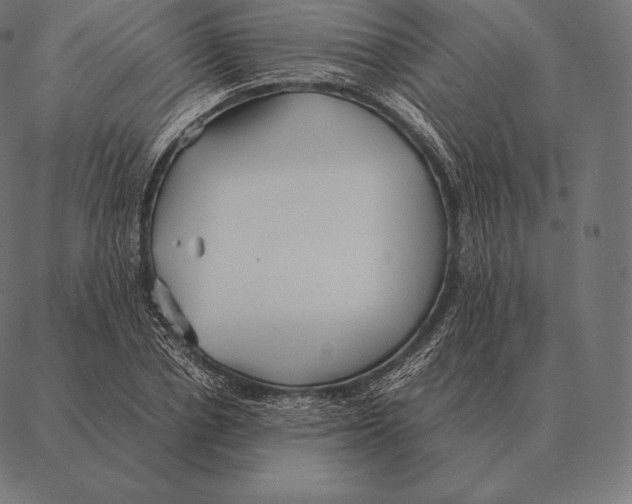 X0000087370834200705181214