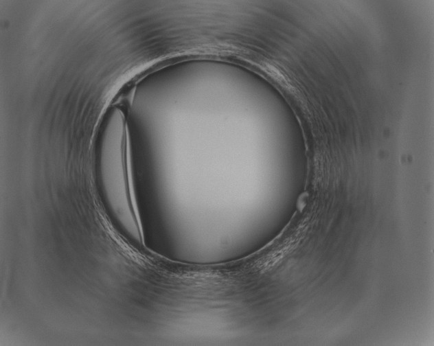 X0000087370838200705181214