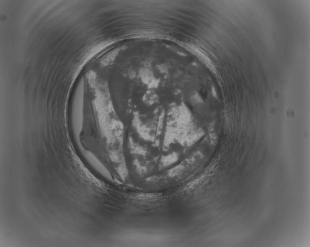 X0000087370839200705181214