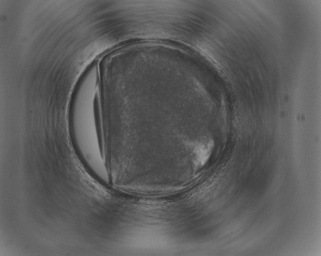 X0000087370840200705181214