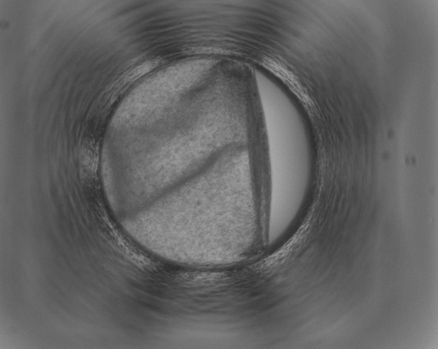 X0000087370841200705181214