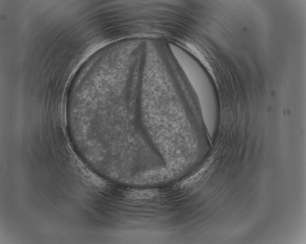 X0000087370843200705181214