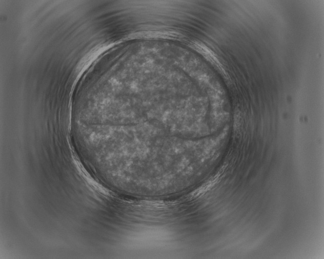 X0000087370844200705181214