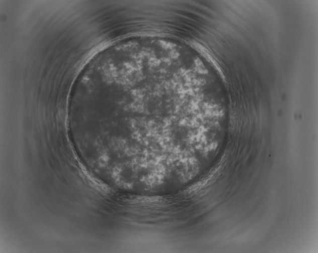 X0000087370845200705181215