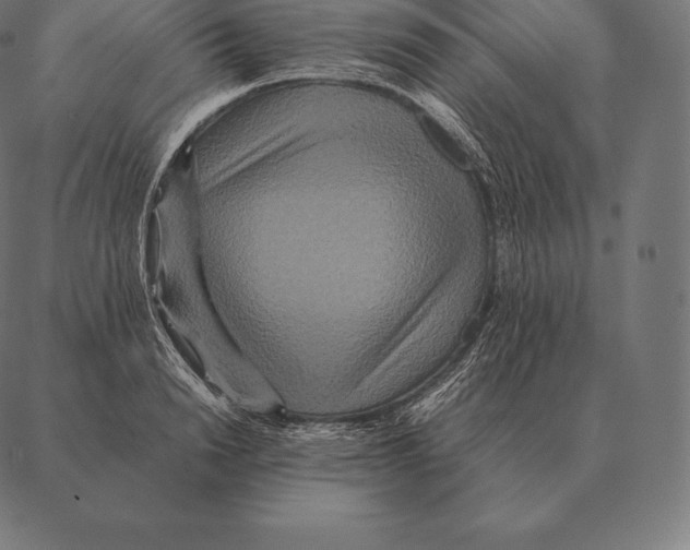 X0000087370846200705181215