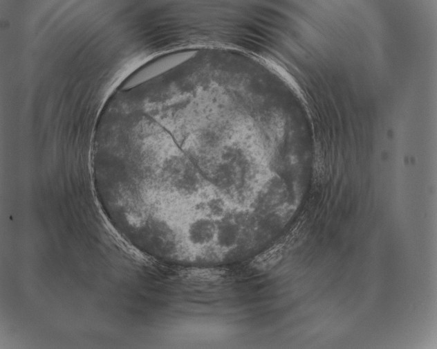 X0000087370847200705181215