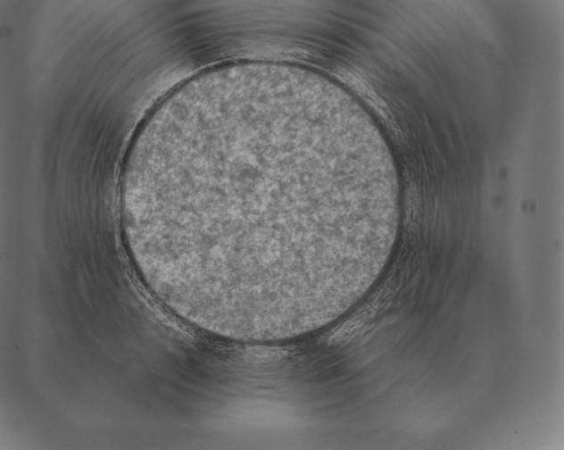 X0000087370848200705181215