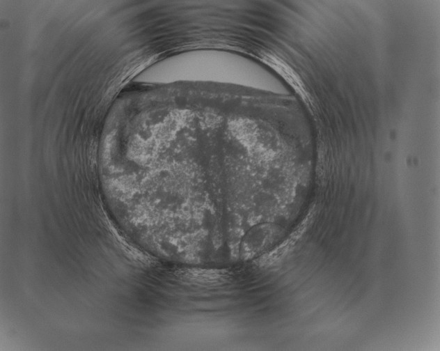 X0000087370849200705181215