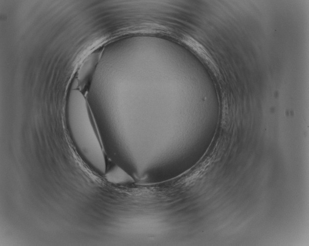 X0000087370850200705181215