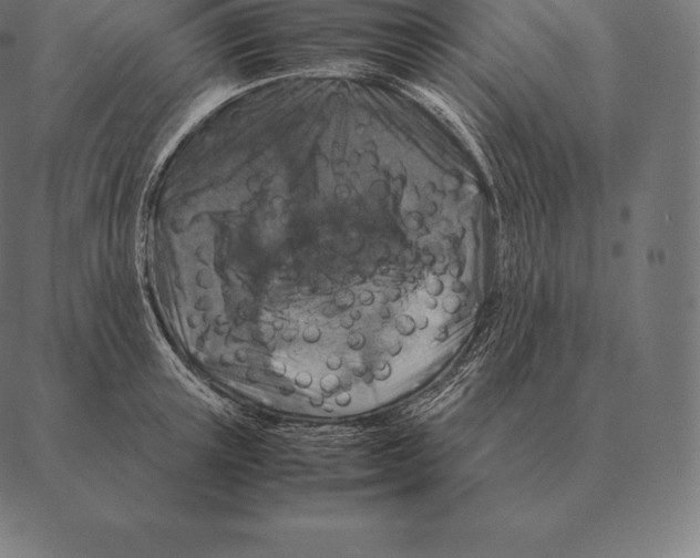 X0000087370851200705181215