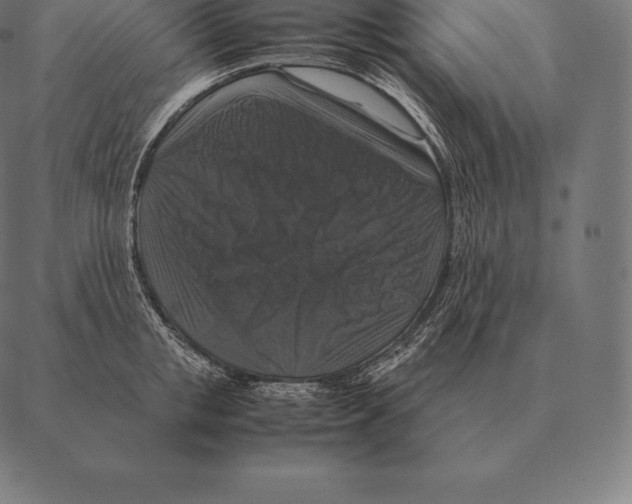 X0000087370853200705181215