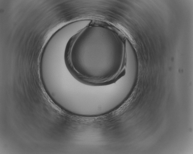 X0000087370854200705181215