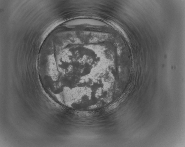 X0000087370855200705181215