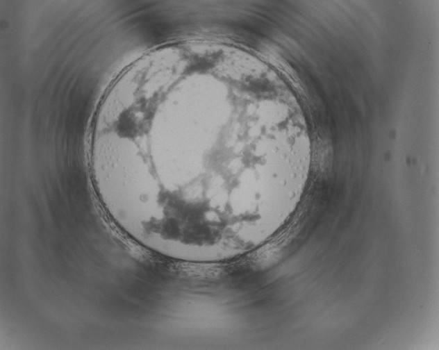 X0000087370856200705181215