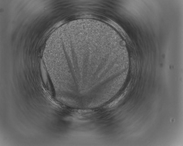 X0000087370857200705181215