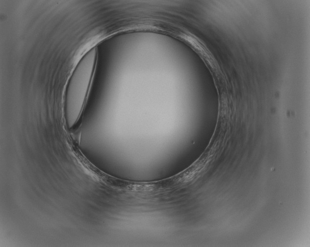 X0000087370858200705181215