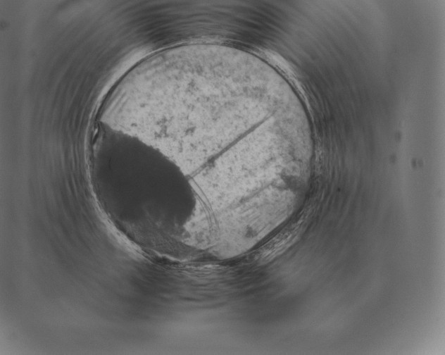 X0000087370859200705181215