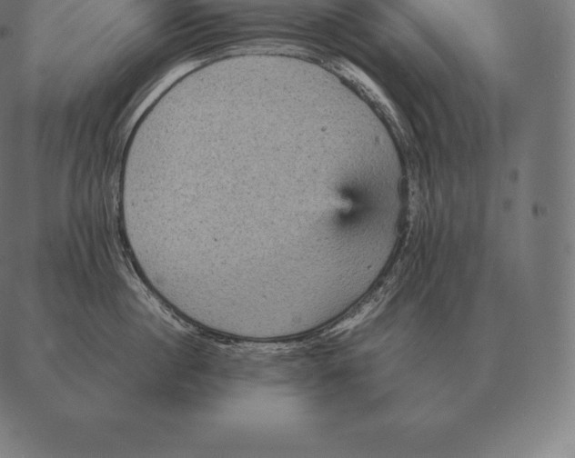 X0000087370860200705181215