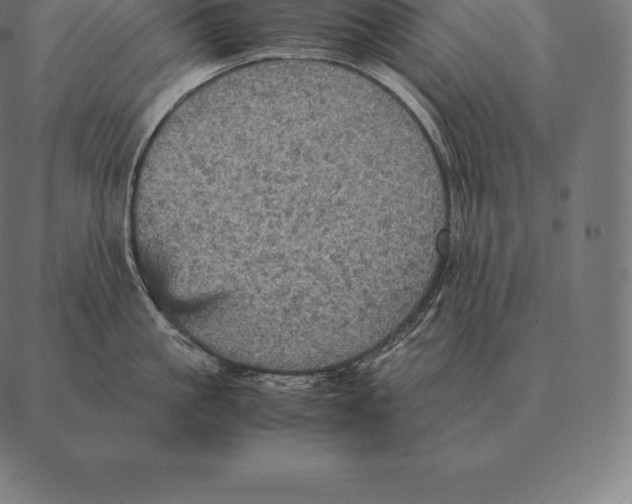 X0000087370861200705181215