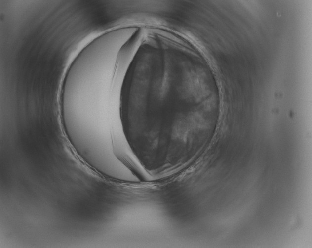 X0000087370864200705181215