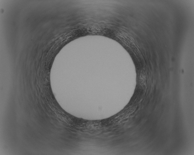 X0000087370865200705181214