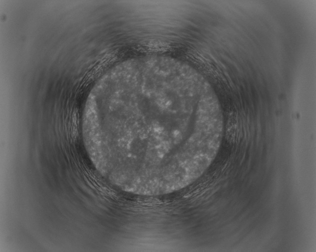 X0000087370866200705181214