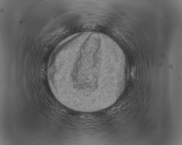 X0000087370867200705181214