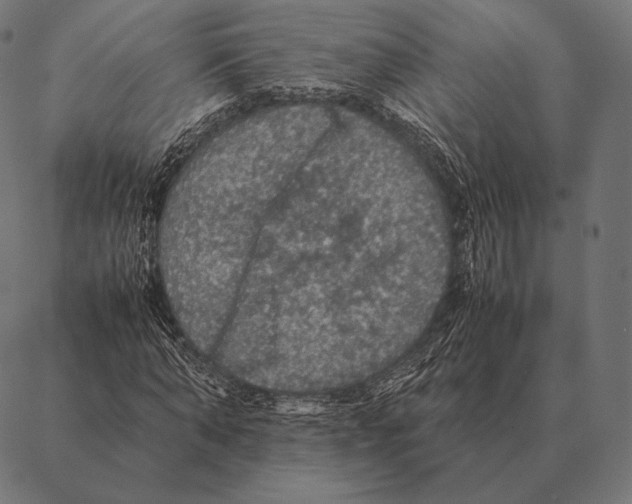 X0000087370870200705181214