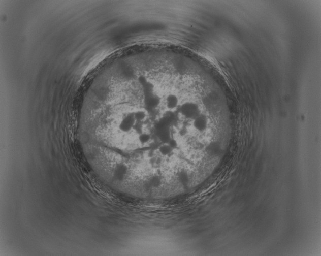 X0000087370871200705181214