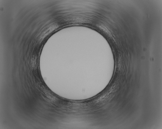 X0000087370873200705181214