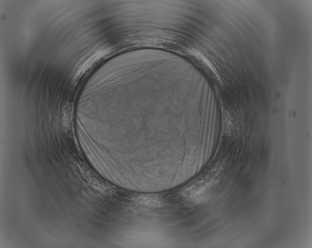 X0000087370874200705181214