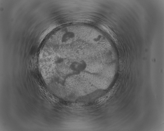 X0000087370875200705181214