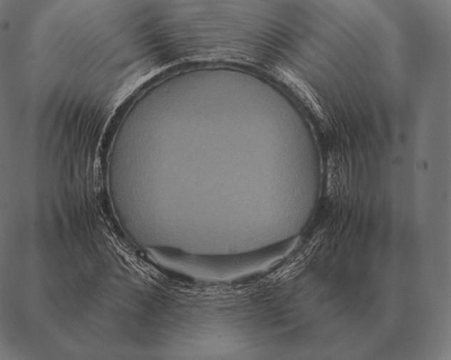 X0000087370876200705181214