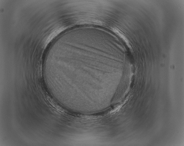 X0000087370877200705181214