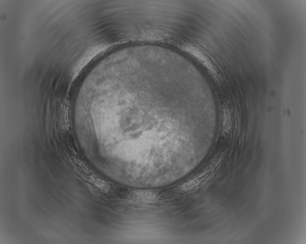 X0000087370878200705181214