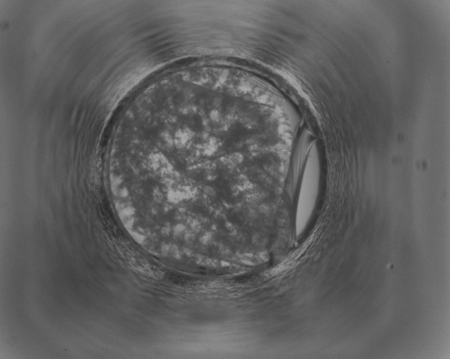 X0000087370879200705181214