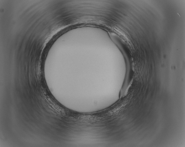 X0000087370880200705181214