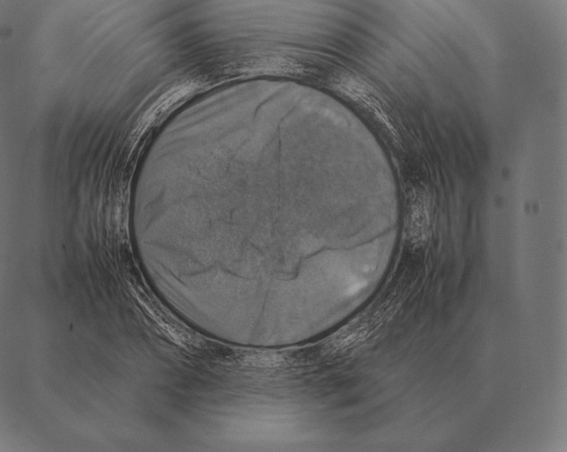 X0000087370882200705181214