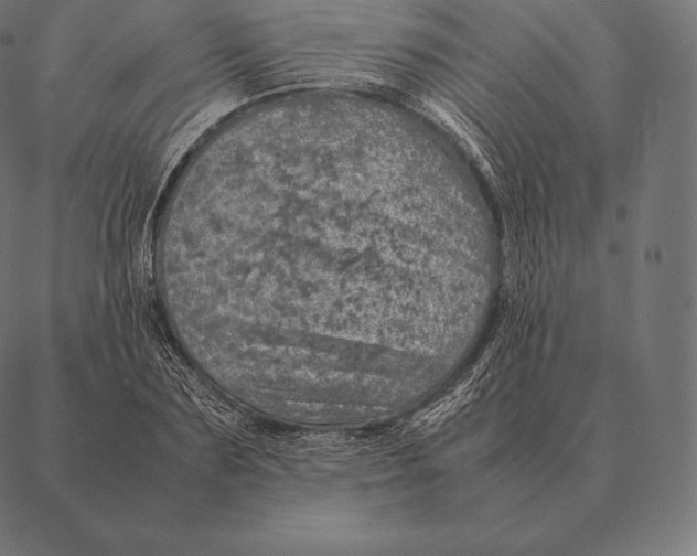 X0000087370883200705181214