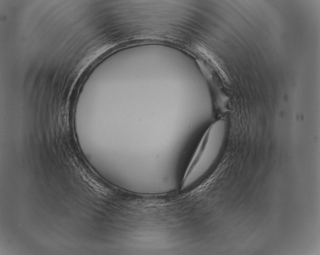 X0000087370884200705181214