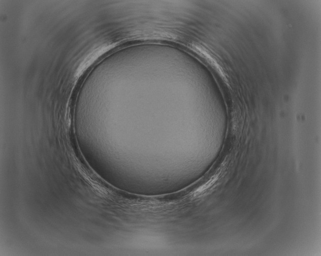 X0000087370885200705181214