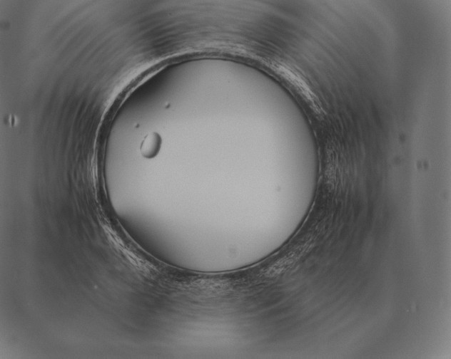 X0000087370888200705181214