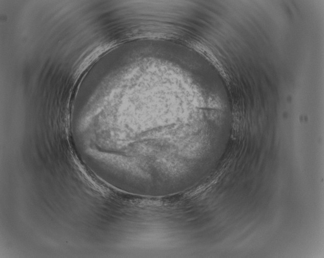 X0000087370890200705181214