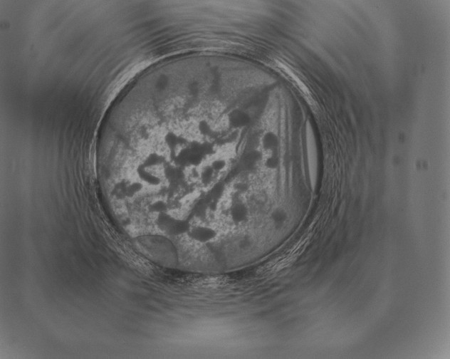 X0000087370891200705181214