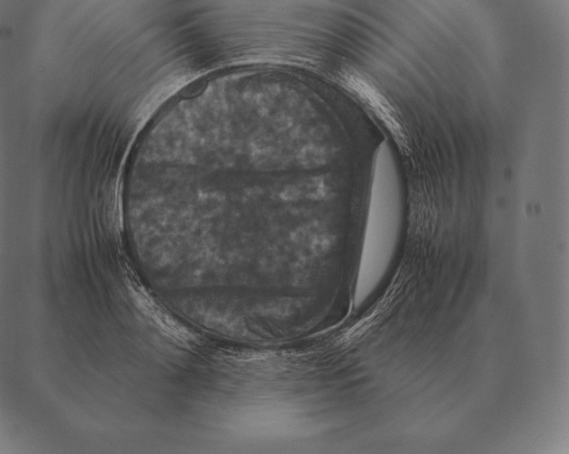 X0000087370892200705181214