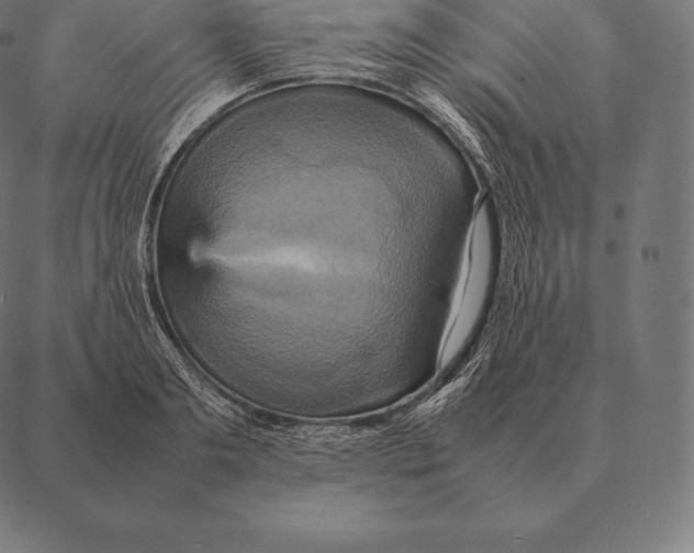 X0000087370893200705181214