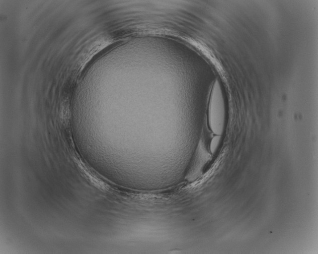 X0000087370897200705181214