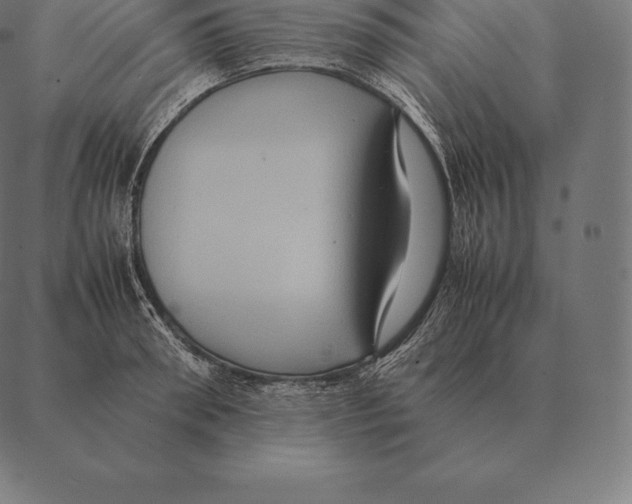 X0000087370898200705181213