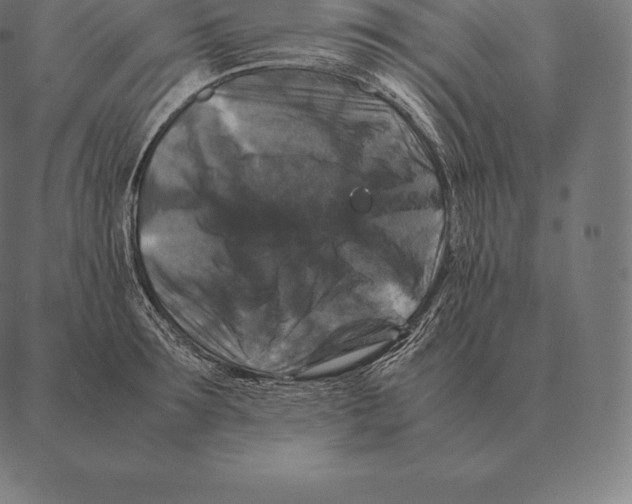 X0000087370899200705181213