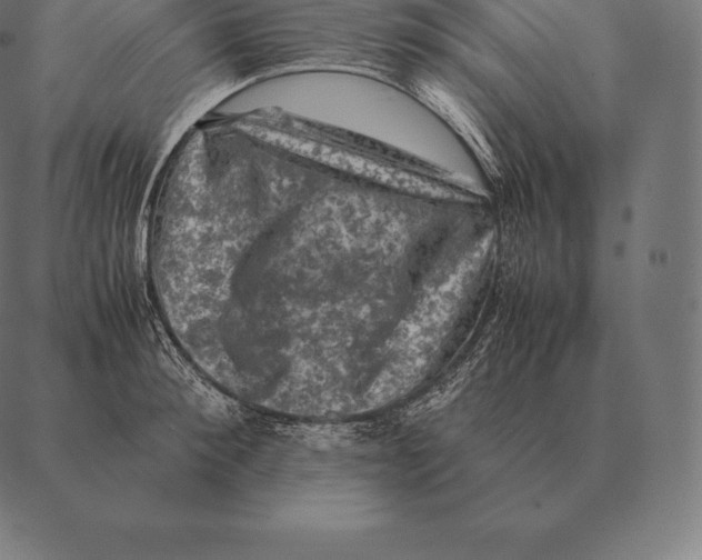 X0000087370900200705181213